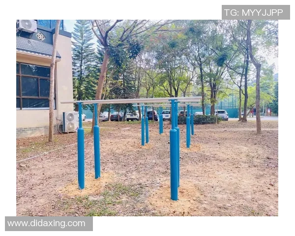 综合型健身器材有哪些特点与适合人群